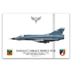 DASSAULT MIRAGE IIIE BR/F-103E FAB 4913, 1º GDA