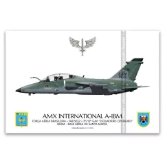 AMX INTERNACIONAL A-1BM, FAB 5652, 3º/10º GAV