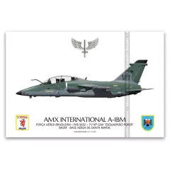 AMX INTERNACIONAL A-1BM, FAB 5652, 1º/10º GAV