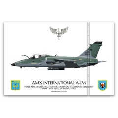AMX INTERNACIONAL A-1M, FAB 5506, 3º/10º GAV