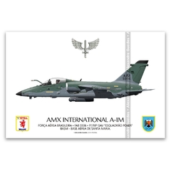 AMX INTERNACIONAL A-1M, FAB 5506, 1º/10º GAV