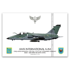 AMX INTERNACIONAL A-1M, FAB 5520, 3º/10º GAV