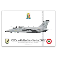 AMX A-11A "GHIBLI", COCIDI 5145, MM7175, ISAF