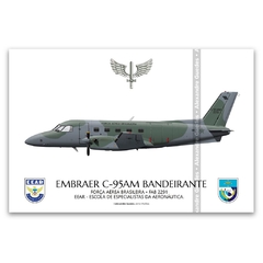 EMBRAER C-95AM BANDEIRANTE, FAB 2291, EEAR
