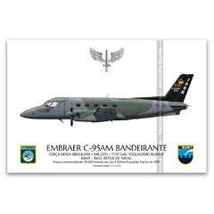 EMBRAER C-95AM BANDEIRANTE, FAB 2291, 1º/5º GAV