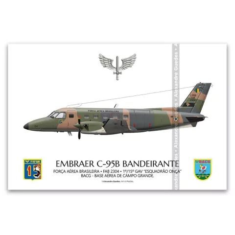 EMBRAER C-95B BANDEIRANTE, FAB 23041, 1º/15º GAV