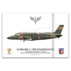 EMBRAER C-95B BANDEIRANTE, FAB 2329, PAMA SP