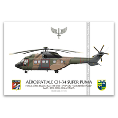 AEROSPATIALE CH-34 SUPER PUMA, FAB 8730, 3º/8º GAV