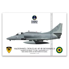 McDONNELL DOUGLAS AF-1B SKYHAWK II, N-1004