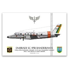 EMBRAER SC-95B BANDEIRANTE, FAB 6545, 2º/10º GAV