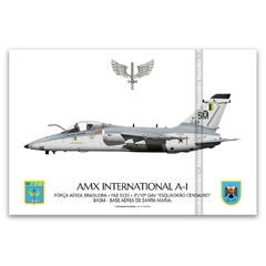 AMX INTERNACIONAL A-1, FAB 5533, 3º/10º GAV