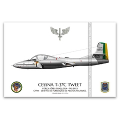 CESSNA T-37C, FAB 0913