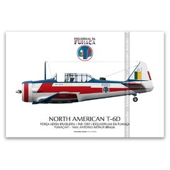NORTH AMERICAN T-6D, FAB 1390, ESQUADRILHA DA FUMAÇA