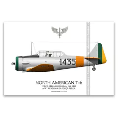 NORTH AMERICAN T-6, FAB 1435, AFA