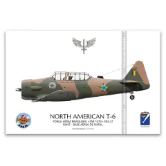 NORTH AMERICAN T-6, FAB 1470, ERA 21