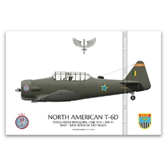 NORTH AMERICAN T-6D, FAB 1616, ERA 41