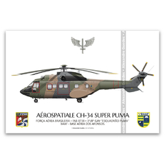 AEROSPATIALE CH-34 SUPER PUMA, FAB 8738, 3º/8º GAV
