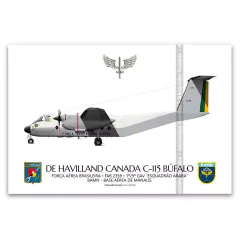 DE HAVILLAND CANADA C-115 BÚFALO, FAB 2359