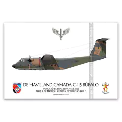 DE HAVILLAND CANADA C-115 BÚFALO, FAB 2365