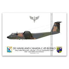 DE HAVILLAND CANADA C-115 BÚFALO, FAB 2369