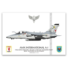 AMX INTERNACIONAL A-1, FAB 5539, 1º/10º GAV