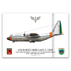 LOCKHEED HERCULES C-130E, FAB 2450