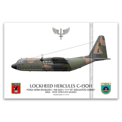 LOCKHEED HERCULES C-130E, FAB 2454