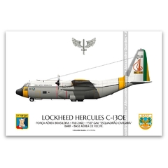 LOCKHEED HERCULES C-130E, FAB 2460
