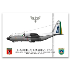 LOCKHEED HERCULES C-130H, FAB 2464