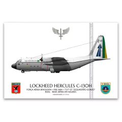 LOCKHEED HERCULES C-130H, FAB 2464