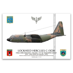 LOCKHEED HERCULES C-130H, FAB 2464_2