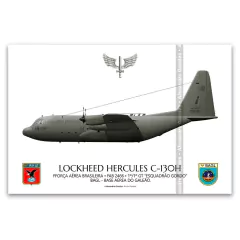 LOCKHEED HERCULES C-130H, FAB 2466