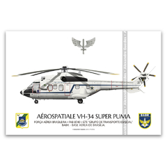 AEROSPATIALE VH-34 SUPER PUMA, FAB 8740, 3º/8º GAV