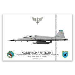 NORTHROP F-5F TIGER II, FAB 4806, 1º/14º GAV