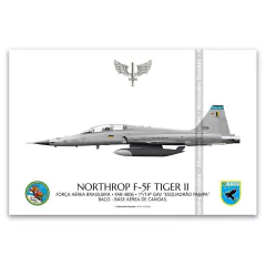 NORTHROP F-5F TIGER II, FAB 4806, 1º/14º GAV