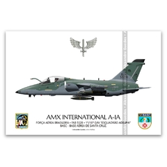 AMX INTERNACIONAL A-1A, FAB 5528, 1º/16º GAV