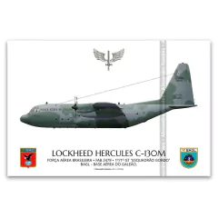 LOCKHEED HERCULES C-130M, FAB 2479