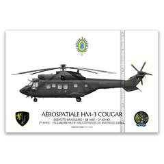 AEROSPATIALE HM-3 COUGAR, EB-4001, 2º BAVEX, 2º EHEG