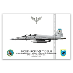 NORTHROP F-5F TIGER II, FAB 4808, 1º/14º GAV
