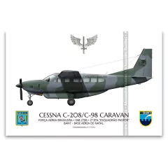 CESSNA C-98 CARAVAN, FAB 2706, 2º ETA