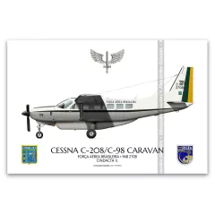 CESSNA C-98 CARAVAN, FAB 2708, CINDACTA II