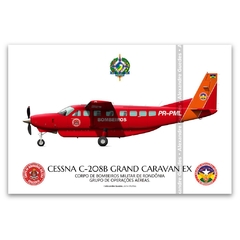 CESSNA 208B EX GRAND CARAVAN - PR-PML