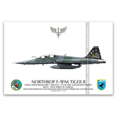 NORTHROP F-5FM TIGER II, FAB 4810, 1º/14º GAV