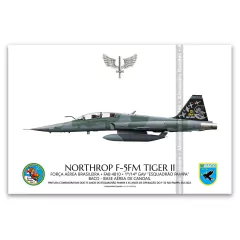 NORTHROP F-5FM TIGER II, FAB 4810, 1º/14º GAV