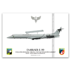 EMBRAER E-99, FAB 6701, 2º/6º GAV