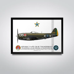 REPUBLIC P-47D-27-RE THUNDERBOLT, S/N 42-26786, D4, 1º GAVCA - (cópia) - buy online