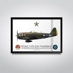 REPUBLIC P-47D-28-RE THUNDERBOLT, S/N 44-19666, B6, 1º GAVCA - (cópia) - comprar online