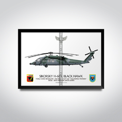 Sikorsky H-60L Black Hawk, FAB 8916, 5º/8º GAV, Esquadrão Pantera en internet