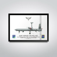 ELBIT HERMES 450 / RQ-450, FAB 7804, ESQUADRÃO HÓRUS - comprar online