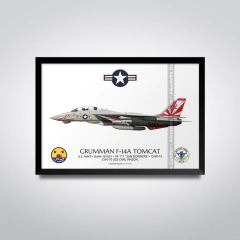 GRUMMAN F-14A TOMCAT, U.S. NAVY, BuNo 161621, NL 00, VF-111 SUN DOWNERS. - buy online
